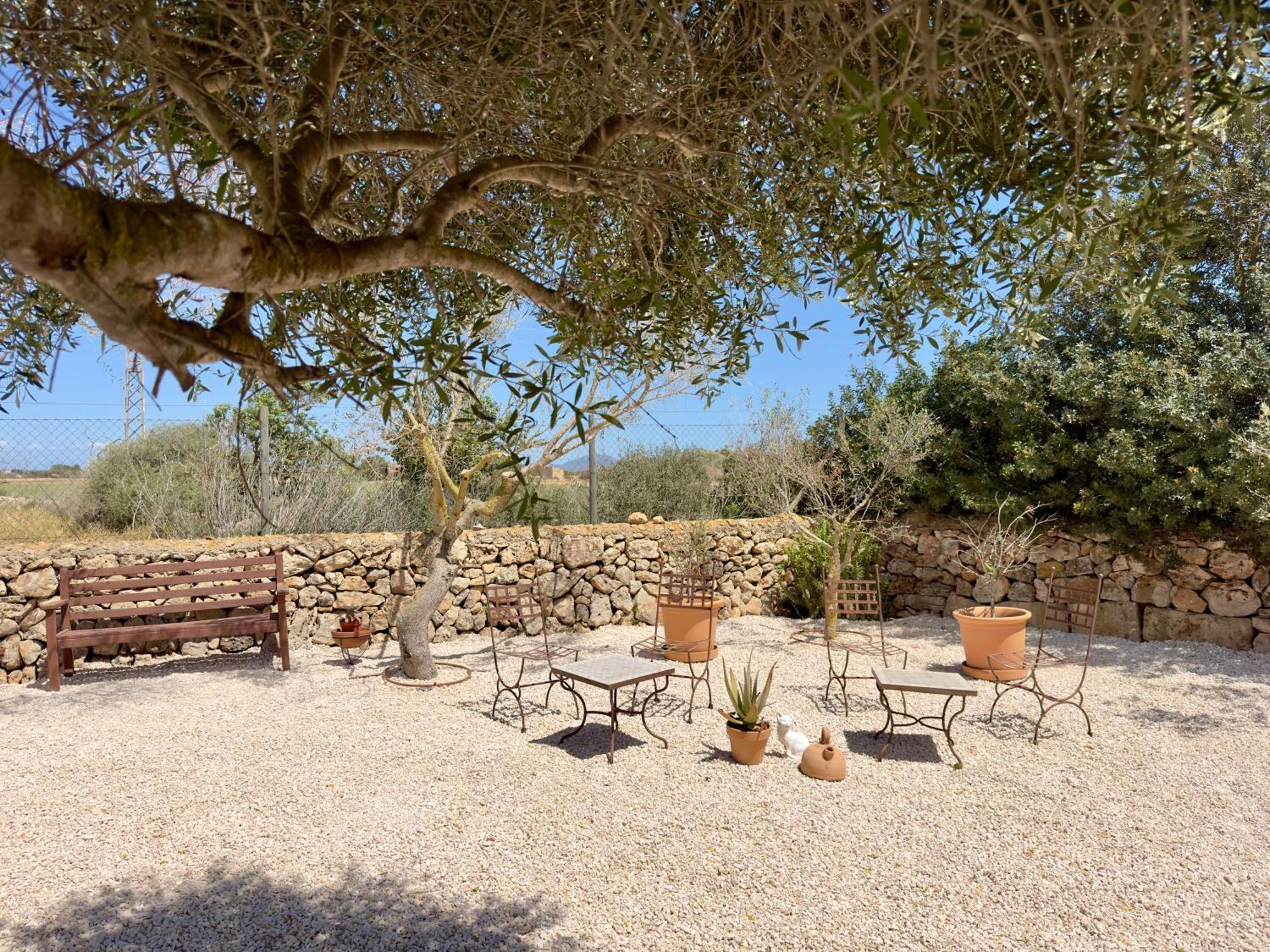 Traumhafte Finca Am Es Trenc Ses Covetes Bagian luar foto