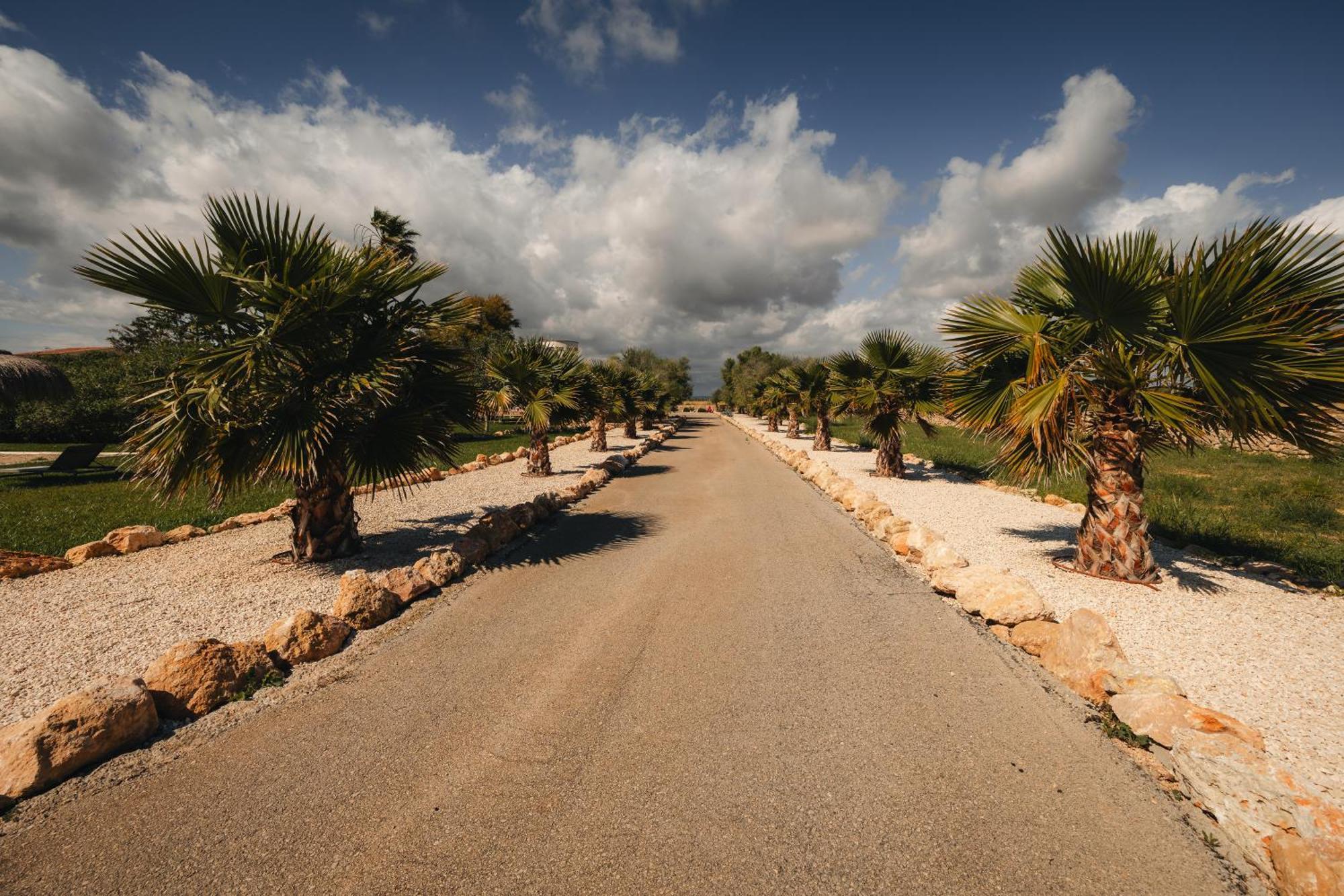 Traumhafte Finca Am Es Trenc Ses Covetes Bagian luar foto